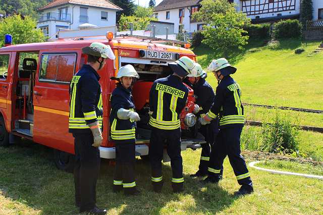 20100627-110802-Canon EOS 500D.jpg